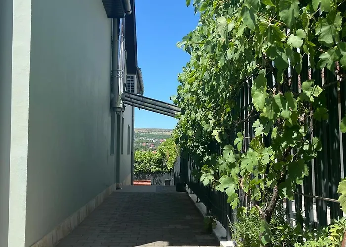 Appartamento Cu Curte Gruia Cluj-Napoca