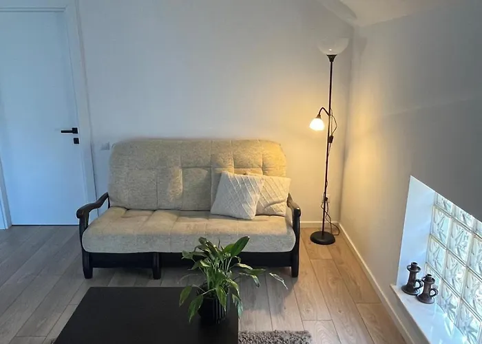 Appartamento Cu Curte Gruia Cluj-Napoca